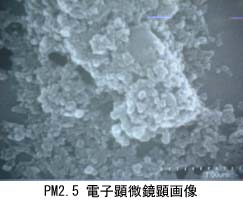 PM2.5電子顕微鏡顕画像