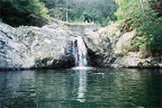 環境水 環境水